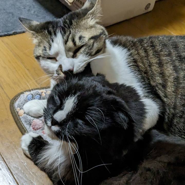 523508e8 3462 4ee7 b721 2aa521ae244f 1679957123703