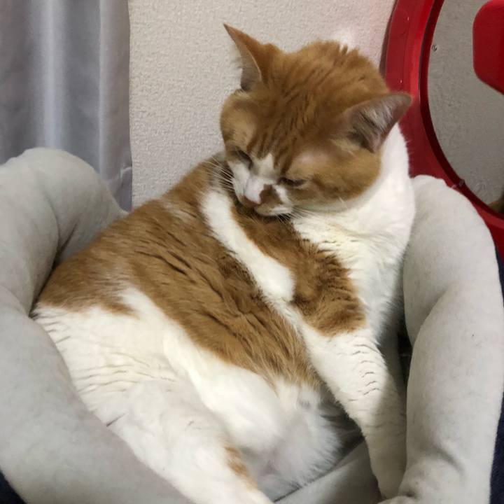 52351d68 7ba1 4c7b 906f 473019ba43c7 1517483250140