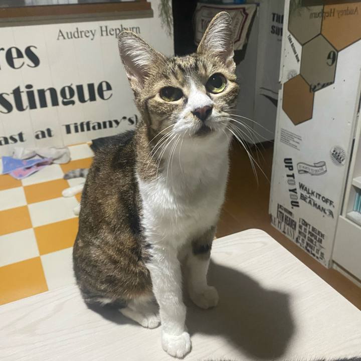 5235245b e175 4288 b659 e388c4d172e6 1723889702302