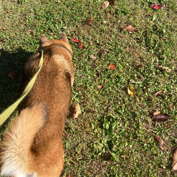 5235798b b4d4 4a26 9554 1945428dbf52 1668573798872