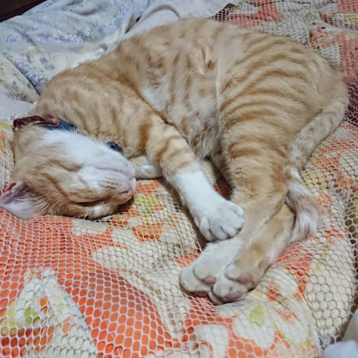 523581f6 ac16 4972 8392 579430907764 1562589709714