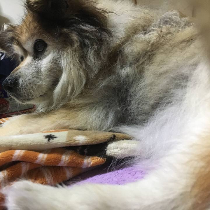 5235bdb2 57af 43d5 a188 3dcc0df802f9 1590819131822