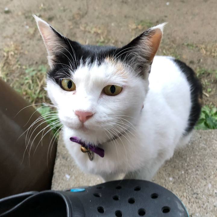 5235c41b ee43 4553 8f77 ab39af308daf 1636669574074