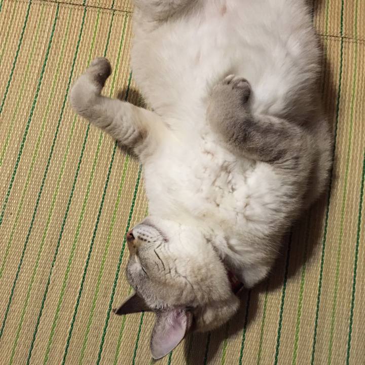 5235c6d2 2f49 4b4b ac2b 443684b445b4 1538737366474