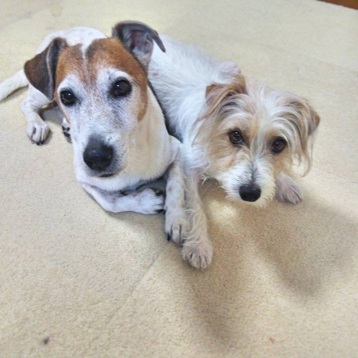 5235ddc8 7b1c 4fe6 91c9 0d23cfe0b8a2 1528205780021