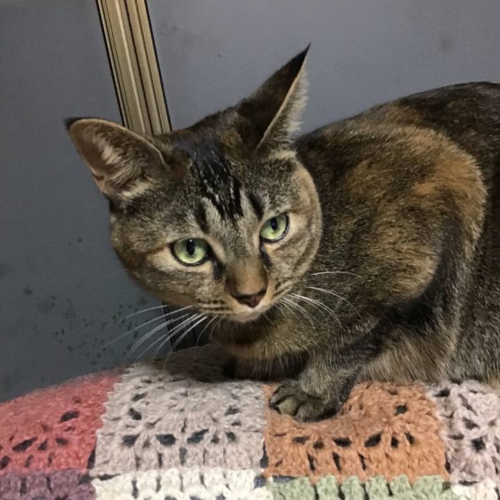 52360323 a847 4e14 961f 77327f075c71 1667305663107