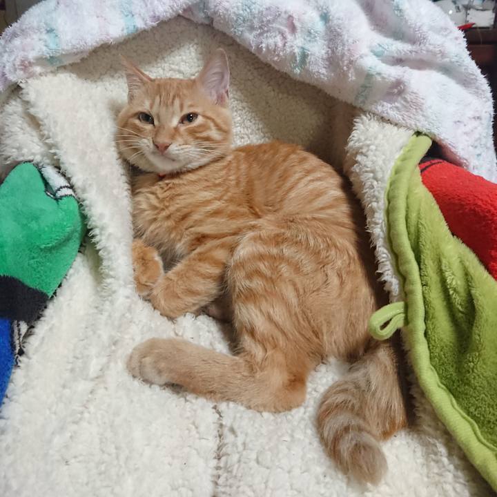 52364482 3499 482b 9777 c3fc441b8f6d 1634989611365