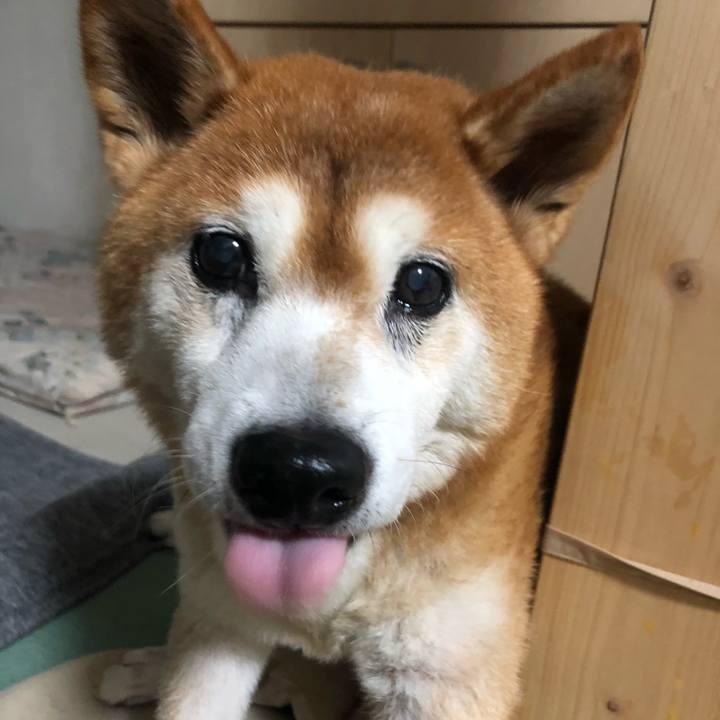 52367fba 9ca0 409b a71a 081d3c58730b 1602325084592