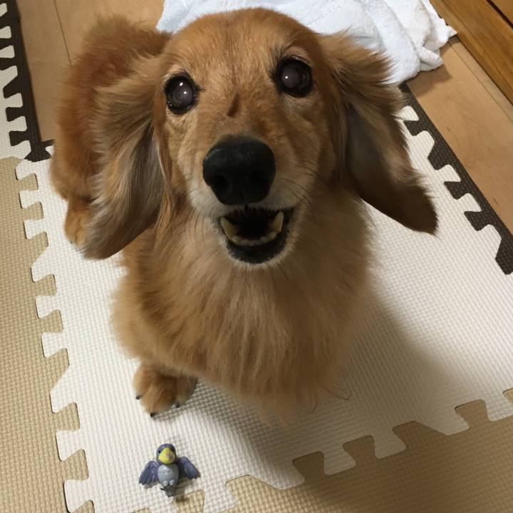 5236e2cb 0494 48fa 9e9f 45de4704ebf6 1632228296073