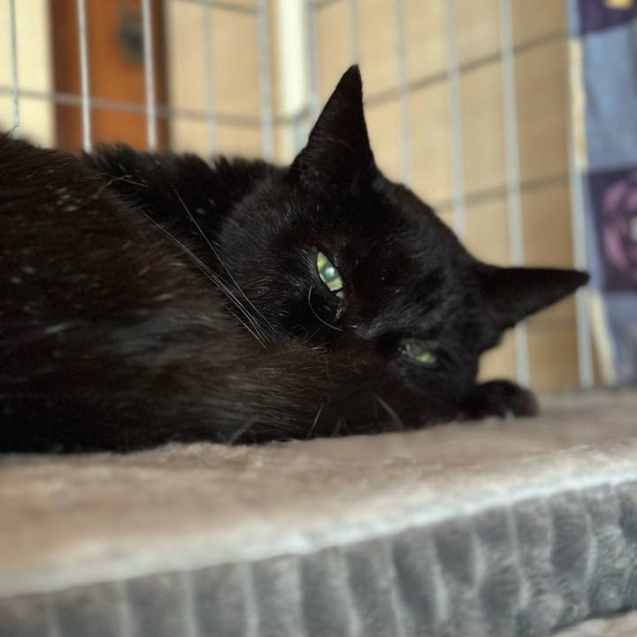 523708e8 e831 46d0 9b92 079bb52dfff4 1711419004743