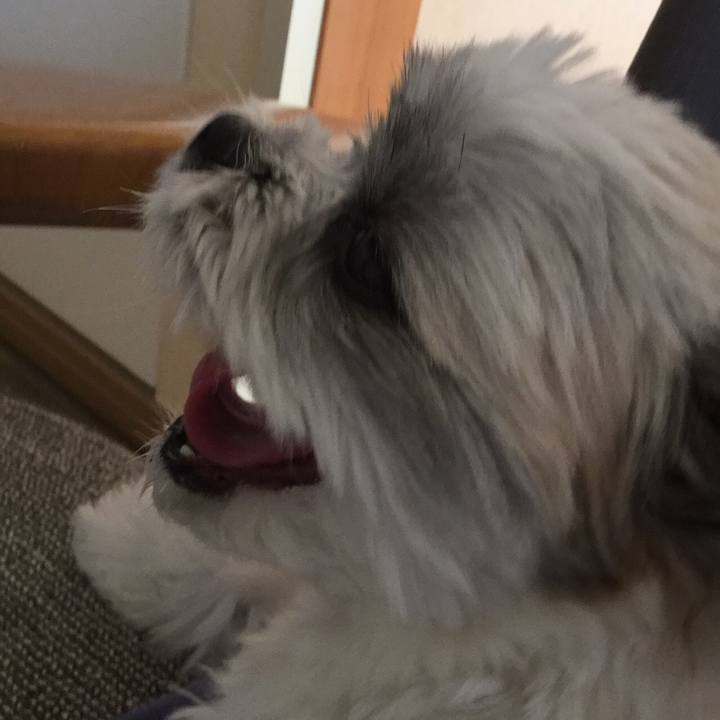 523771b7 33c0 4b52 969b b03b41f01528 1509852415745