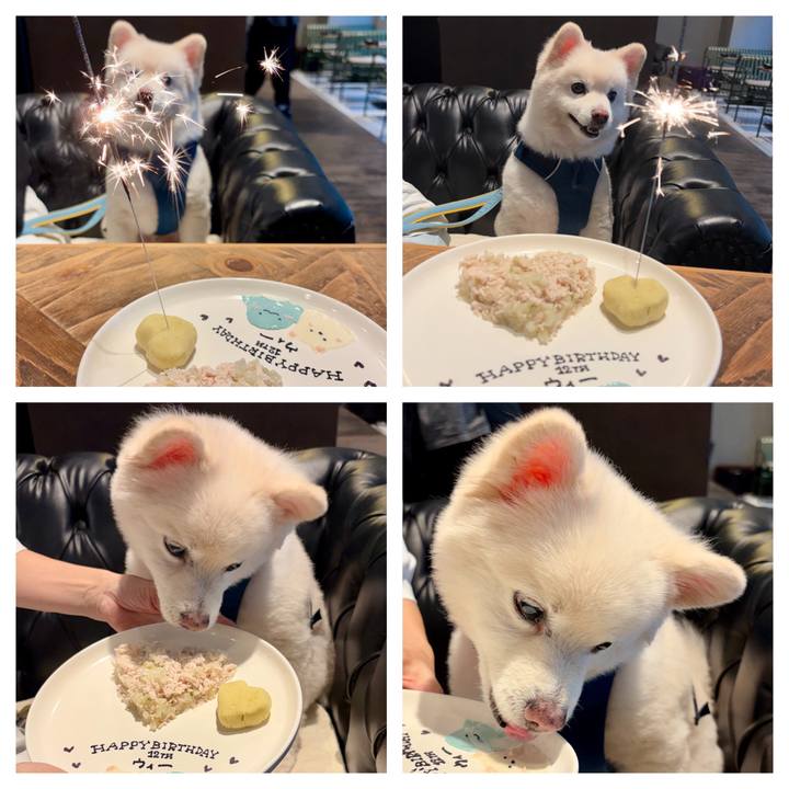 52377a36 1316 4c01 a2f1 67c1eede51c7 1760881617167