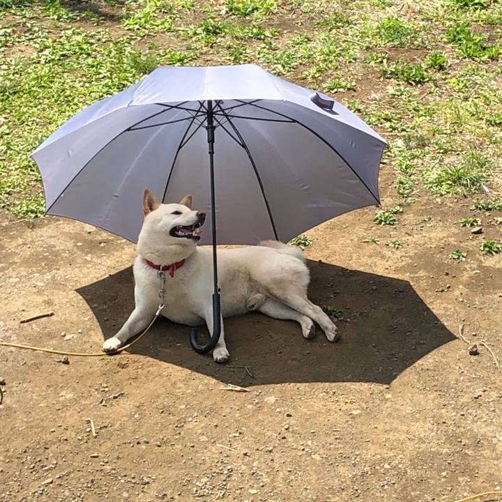 52383631 f9f3 477e ae0d 300f726d2a9b 1555744728466