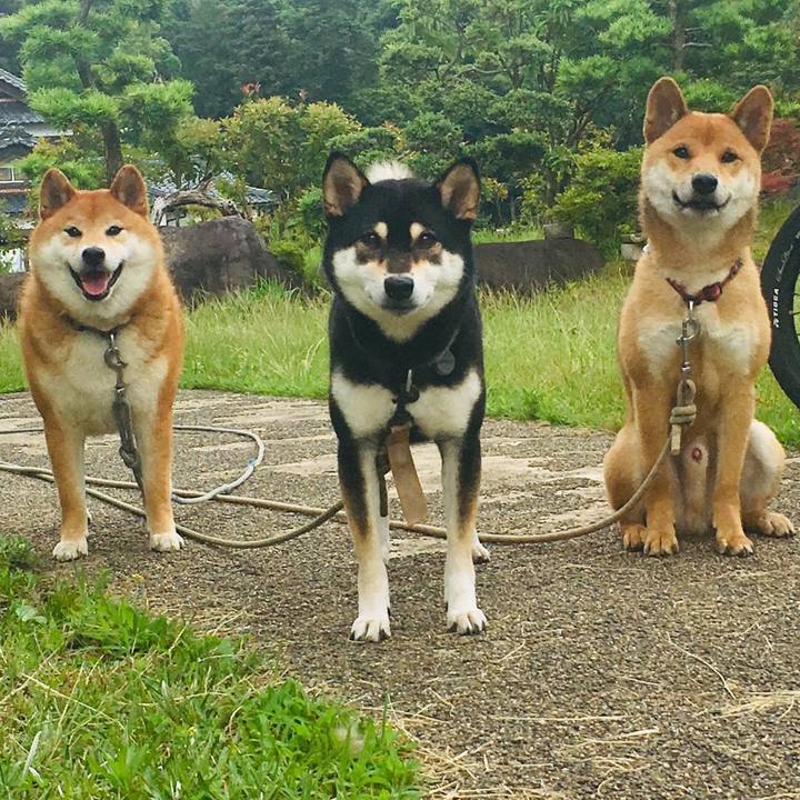 5238a917 a427 418e b8ad 5b0256485063 1561290379461