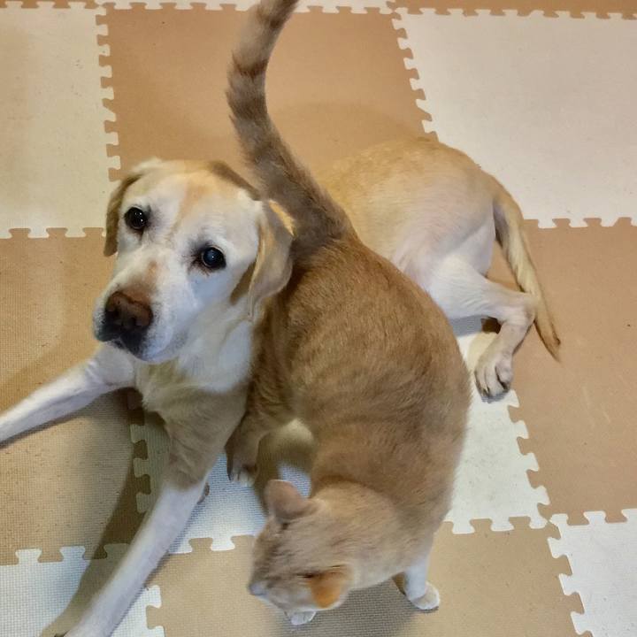 5238cfb0 5ac4 4d89 a40c 71fe8589d718 1510615130002