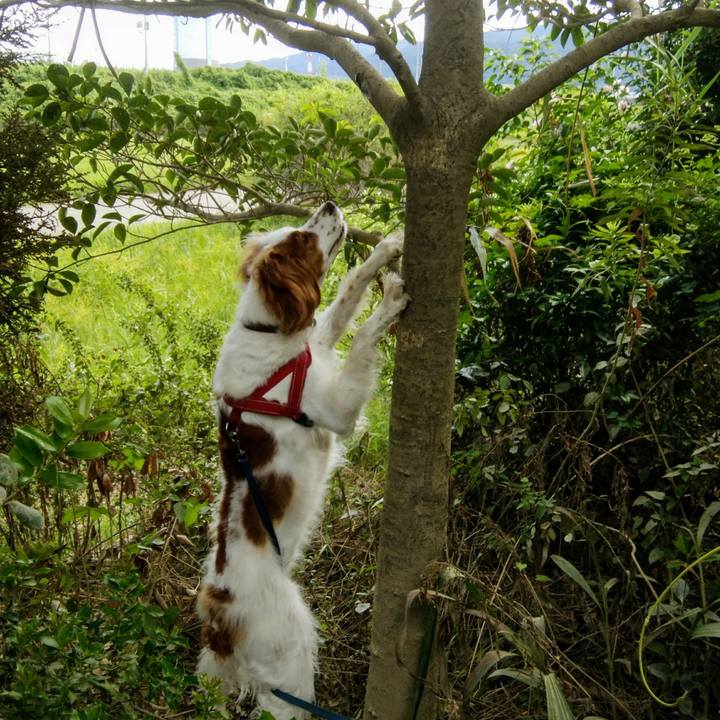 52391509 d9cc 422e 96b1 67bc287c0731 1534724542594