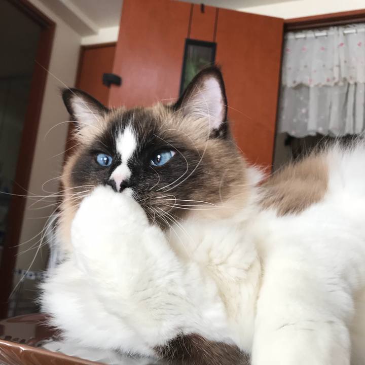 52391f46 b196 46c8 83ec 563da797698d 1514894267533