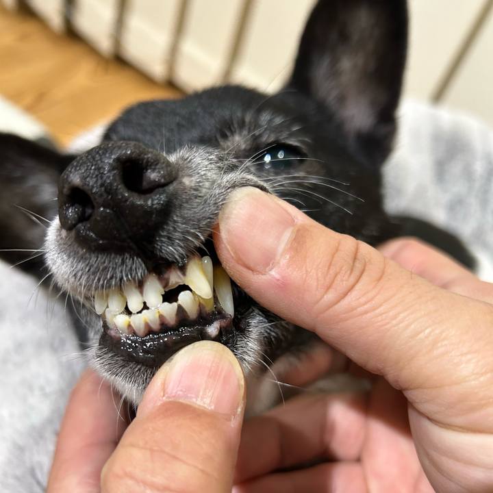 52391f6e d7e8 48f2 a829 995517d52870 1702991780583