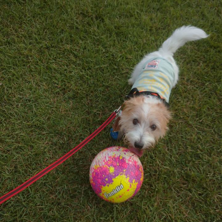 523925b7 0798 43d5 b05d c686c896c114 1756333312339