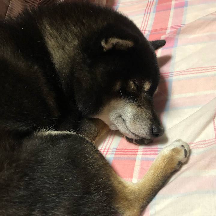 52393663 c689 4c71 9eab 6a0ce909a9bc 1606121678274