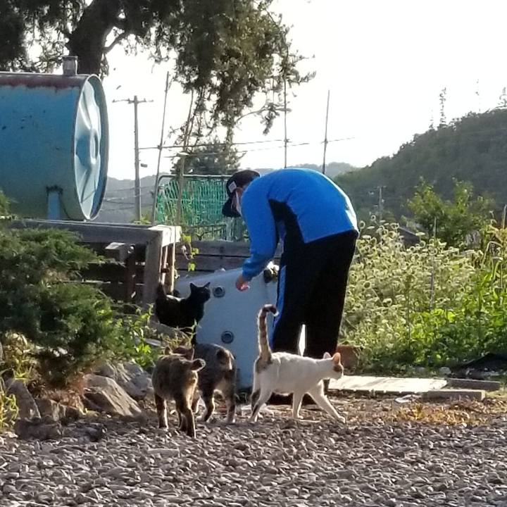 52397ea9 110e 4590 84e5 ed947a6e3bb5 1629377015951