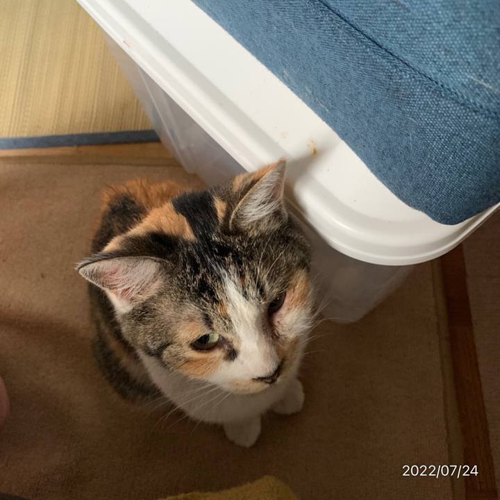 523985c7 6b0b 48f6 bc94 a8bb2759e655 1658619635089