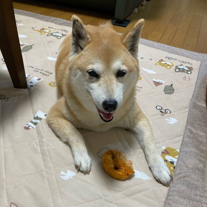 5239bcef 4224 43da b752 80ef3d659805 1623319069277