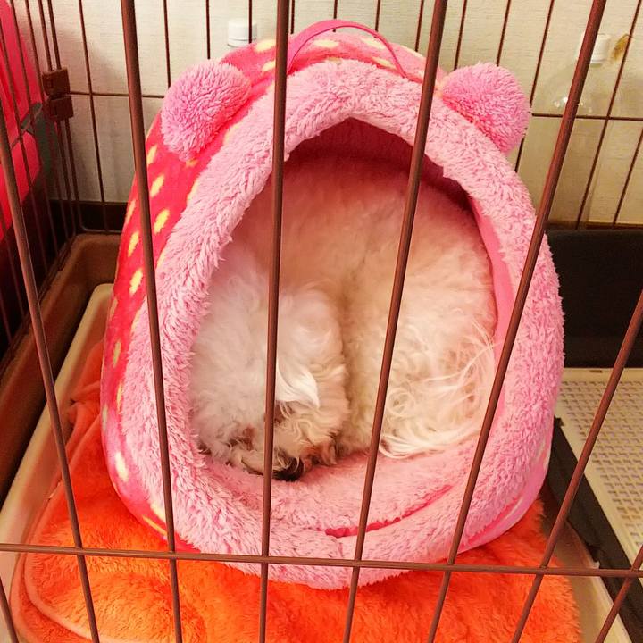 5239c15a c1a6 4561 a286 29b6f7a01681 1541475802515