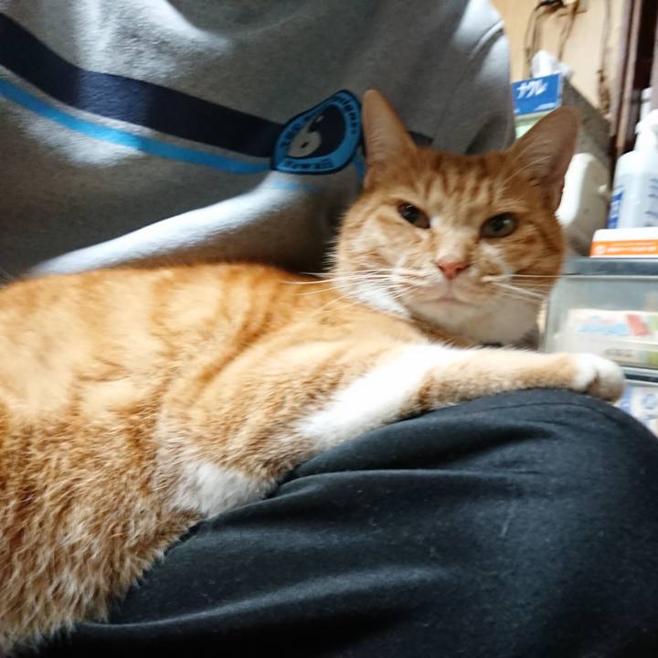 523a022b e425 4efb 9f7e 128e2f3a66f7 1606387836536