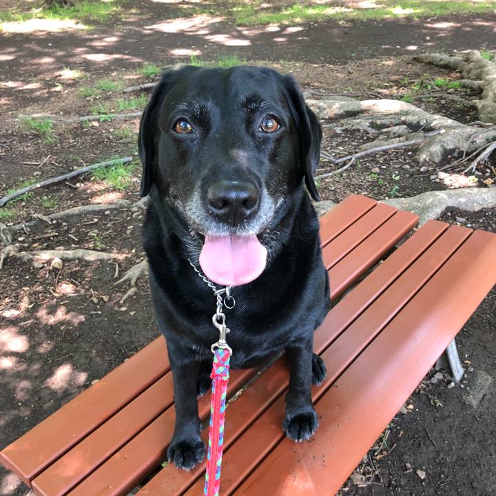 523a0e89 3de8 4dce b13f 24265a38b966 1526284351252