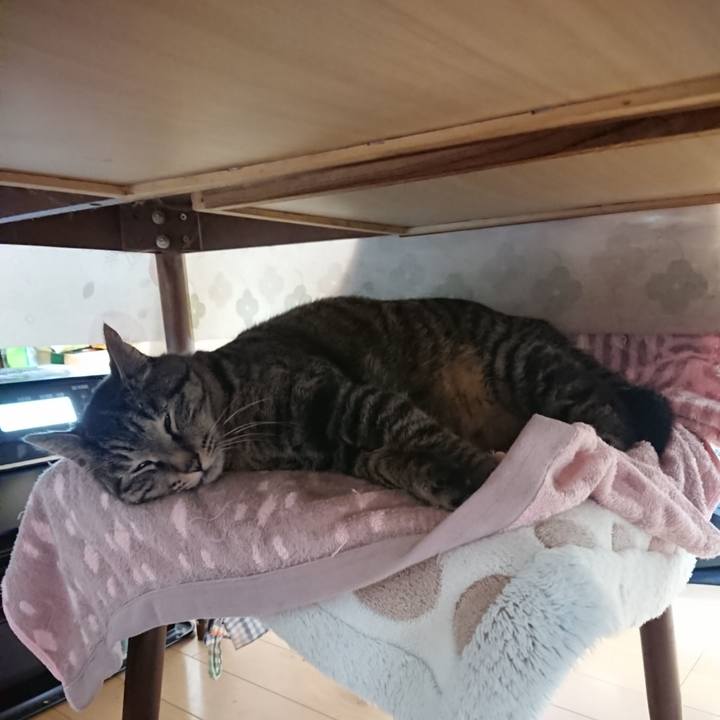 523a5ffb 9b78 4e41 ac0f 0b839fcabccd 1648158599800