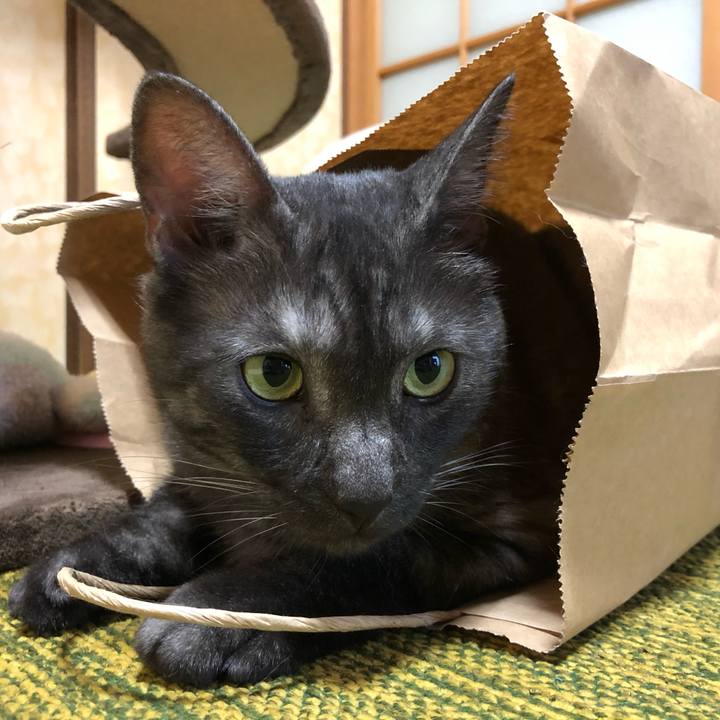 523a898c 11a2 4503 ad75 4f6ff460d78b 1595835417898