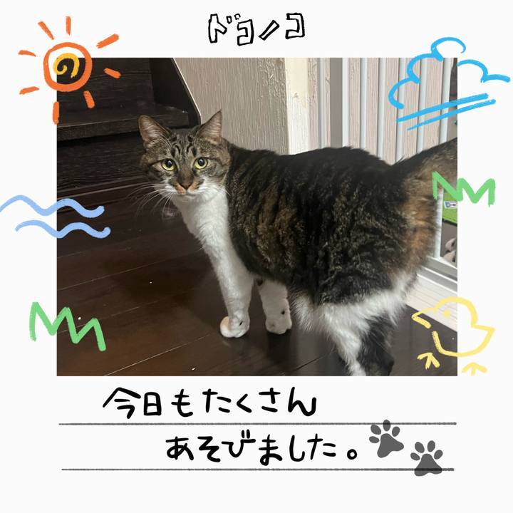 523aa428 265b 4167 b7a0 fc80e7078261 1755266723445