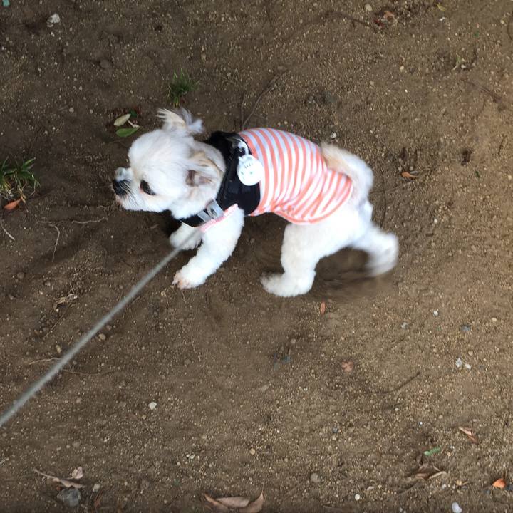 523ac567 4005 4355 9623 224e9dd49a23 1534380587197