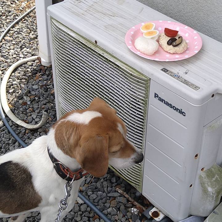 523ad558 2ce2 475a b3e9 2df935fc1574 1646201013793