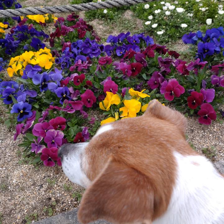 523af057 9c4f 42c9 9ea8 53dd2422376f 1774159069605