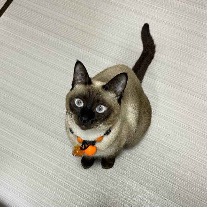 523b0676 7037 4297 9b00 d9ca8a9acf5f 1730147711327