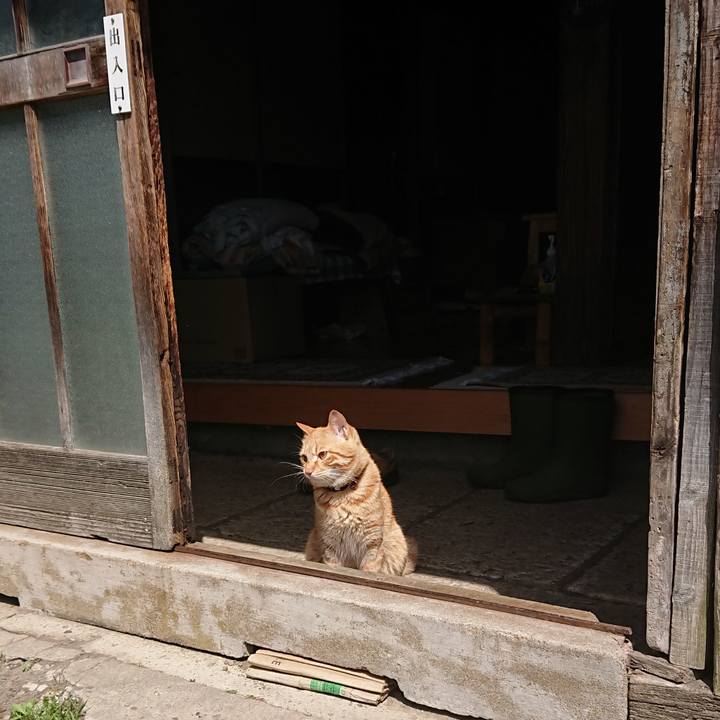 523b0815 c284 46b2 8270 ba2b6e2e91cd 1651147733378