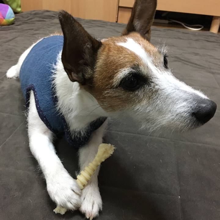 523b5d86 fda8 4dd3 bd44 aa63a09d6c32 1579998569959