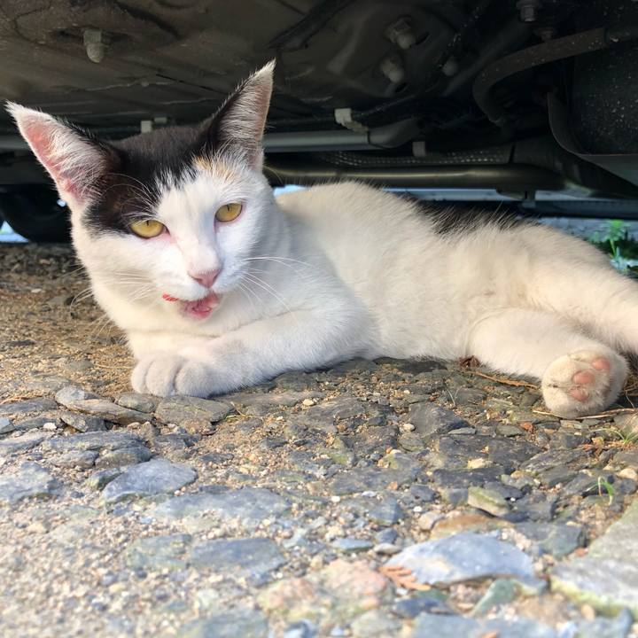 523b6269 b8ea 40b4 9dc6 ef1426887ac9 1599347384839