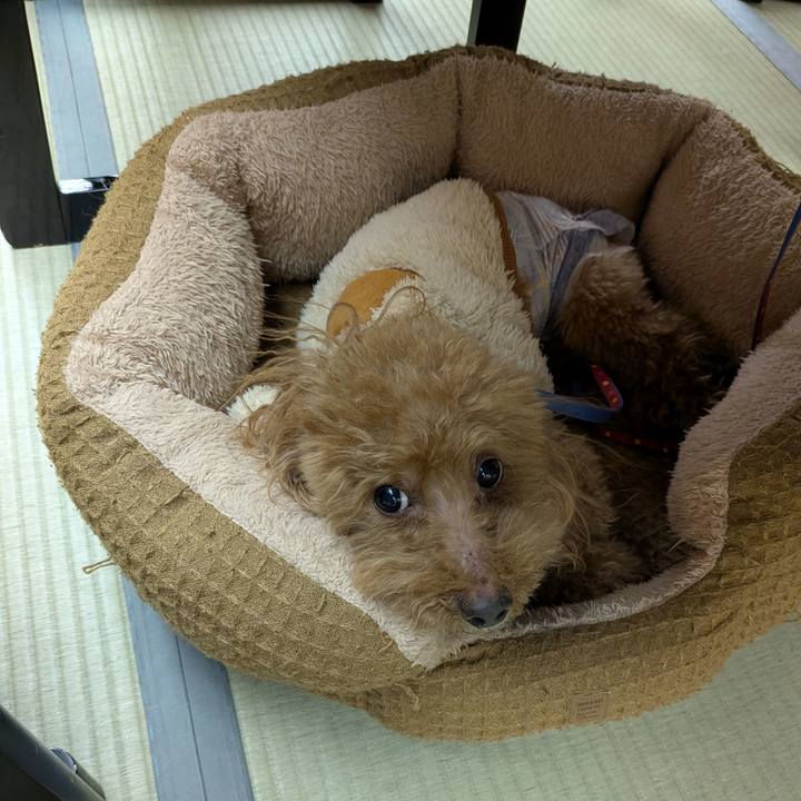 523b7327 b8b8 4fb5 baf5 ba2689376da5 1770974794813