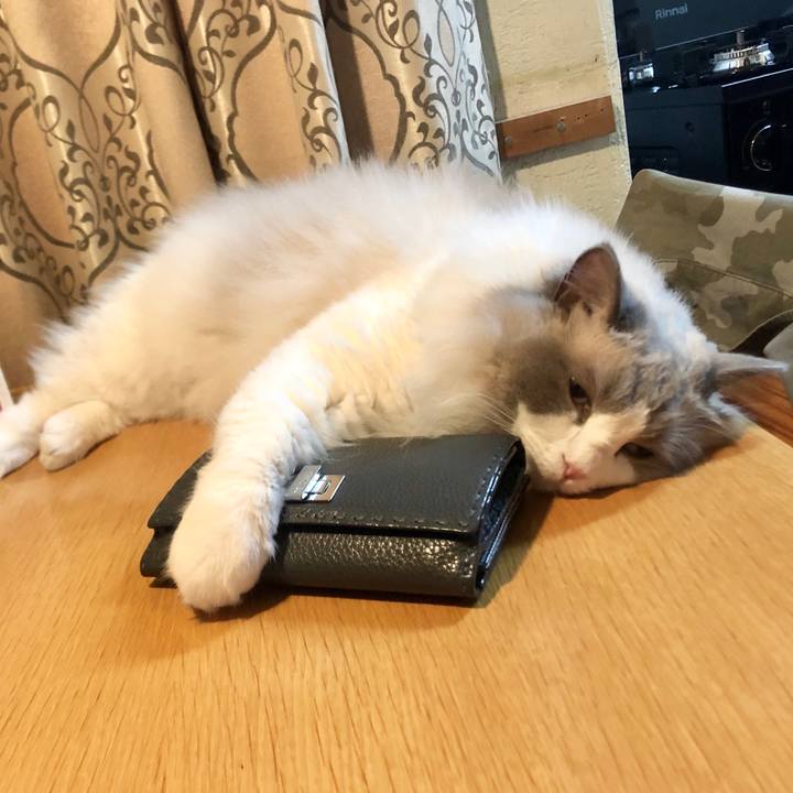 523b895c 8e92 4e69 a34a 1a70412bb82d 1626917016669