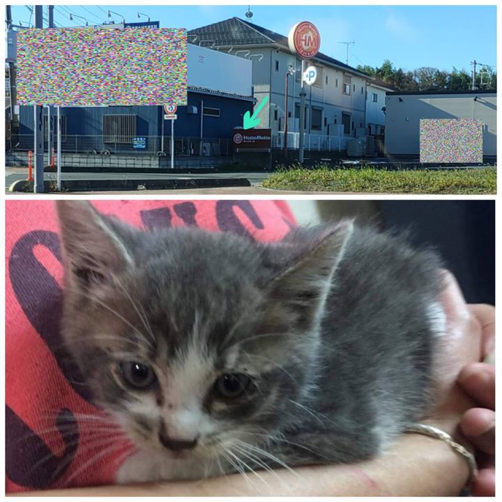 523b9e70 ef95 47e5 a313 86efa9ed5589 1669536521440