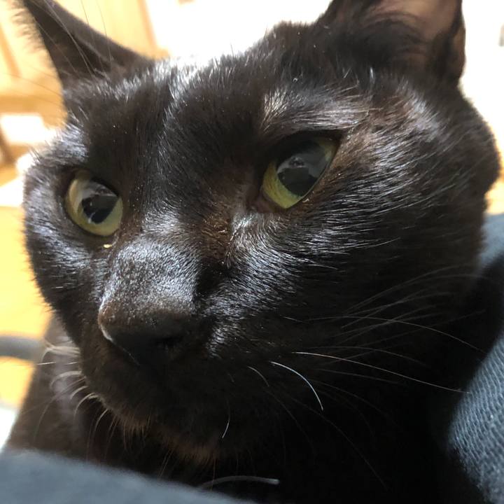 523bd0d9 37e1 4ab4 9db1 68511a341b65 1736072459361