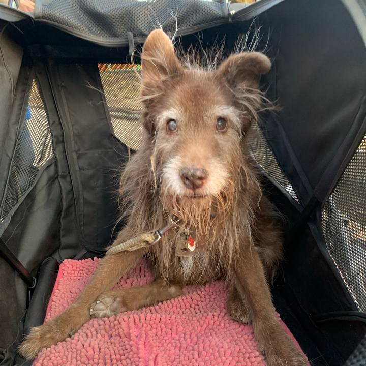 523bfc6d ba72 44f8 9c9d c151b760c42c 1772358748770