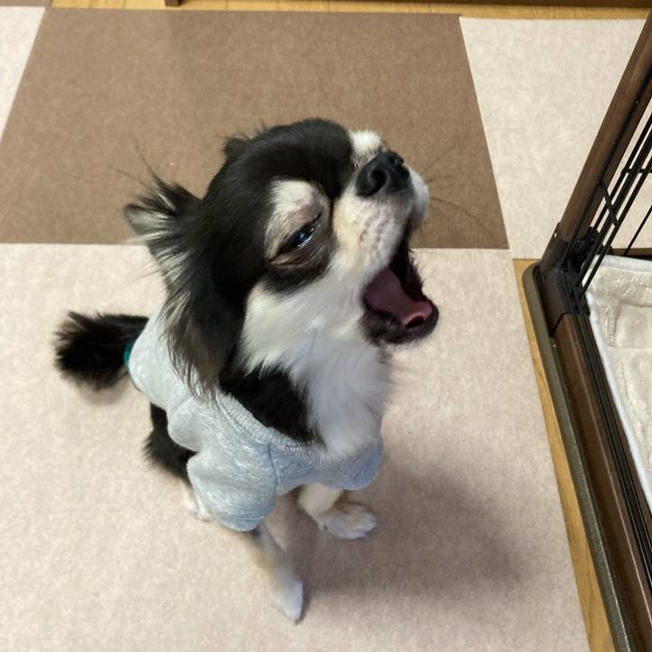 523c4c15 93c1 4109 86d8 09328132c6ef 1638590214643