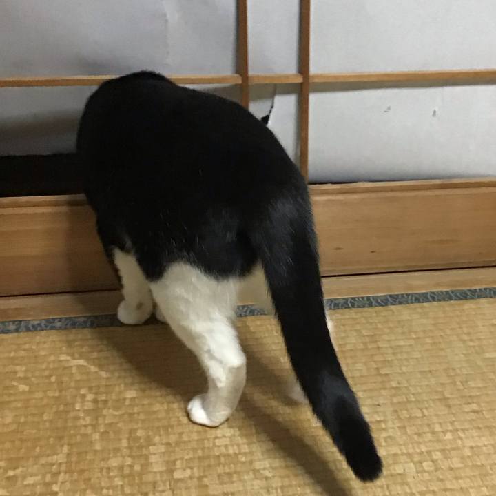 523c626a 2e93 46b3 ab02 b38dba3481e5 1676724937805