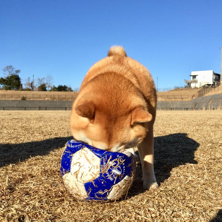 523c97f2 bb91 4952 b201 12327f6f1dfa 1548564456961