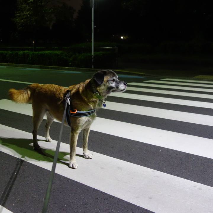 523ca023 5dba 44cc ae65 d60869524c9e 1647219192478