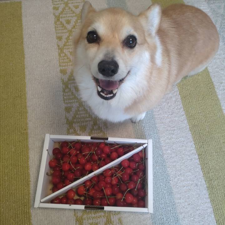 523cab52 ee03 4415 8d35 16b8d64fc3ed 1718546157353